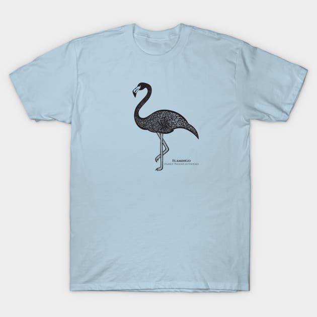 Flamingo with Common and Scientific Names - detailed bird design T-Shirt by Green Paladin